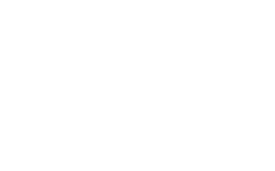 Maleki Group logo